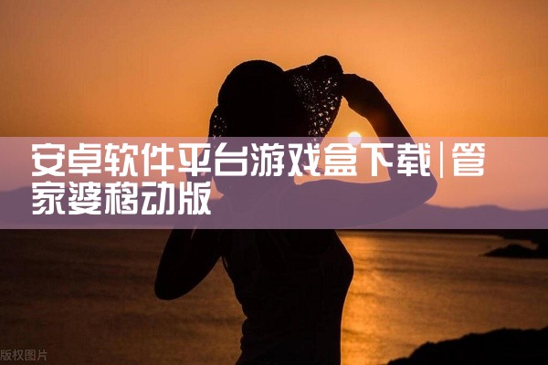 安卓软件平台游戏盒下载