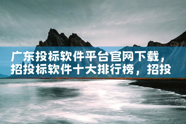 广东投标软件平台官网下载